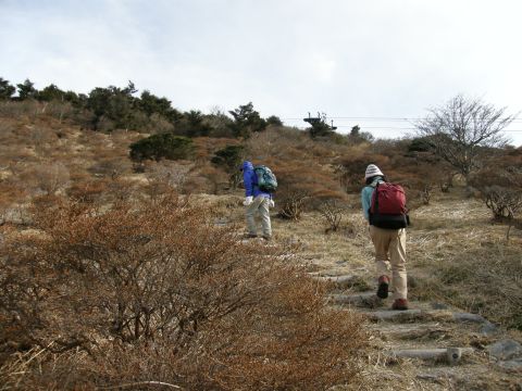 c0042869_21272526.jpg
