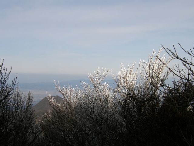 c0042869_21291054.jpg