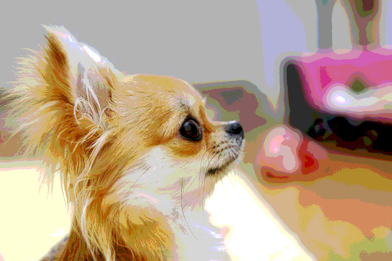 c0026870_17172361.jpg