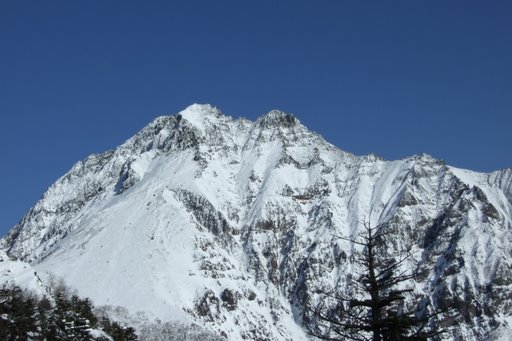 f0054075_10223636.jpg