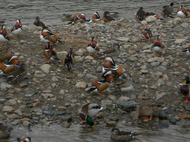 f0153475_20283317.jpg