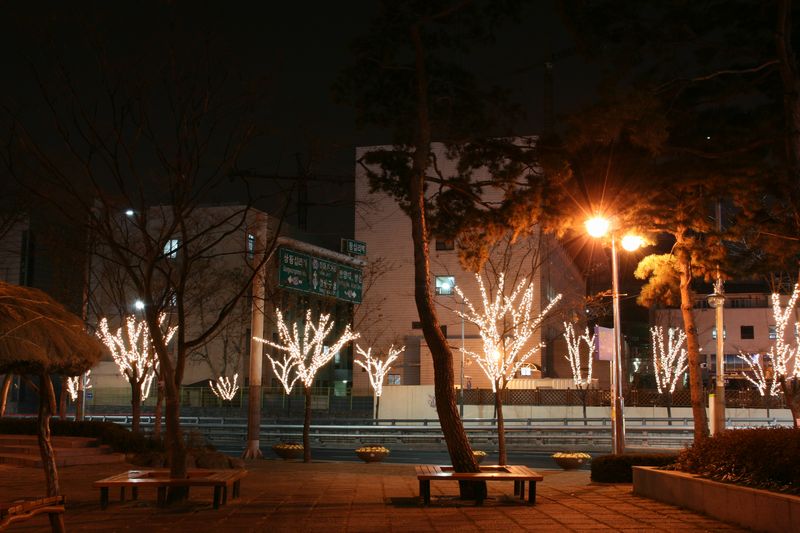 c0148781_1053143.jpg