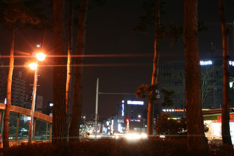 c0148781_1065962.jpg