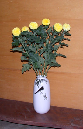 d0138082_2252244.jpg