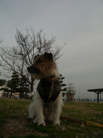 c0117383_2213858.jpg