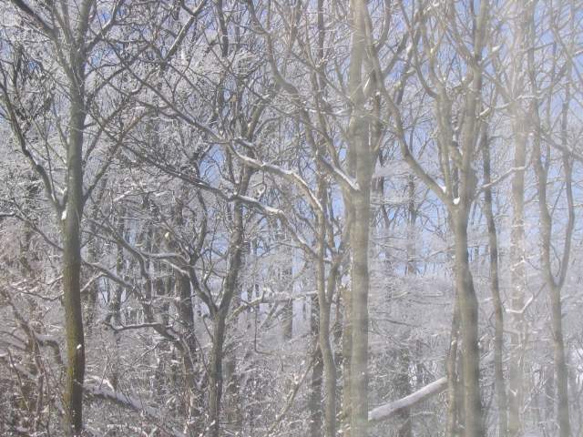 e0028485_0214876.jpg