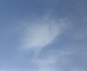 e0122194_219391.jpg