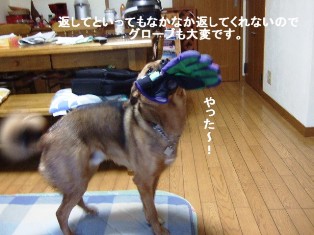 b0087400_22412969.jpg