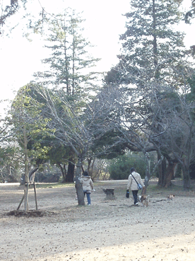 c0129702_1241236.gif