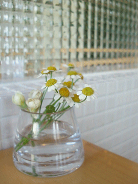 c0129702_12561290.gif