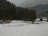 e0119003_21463697.jpg
