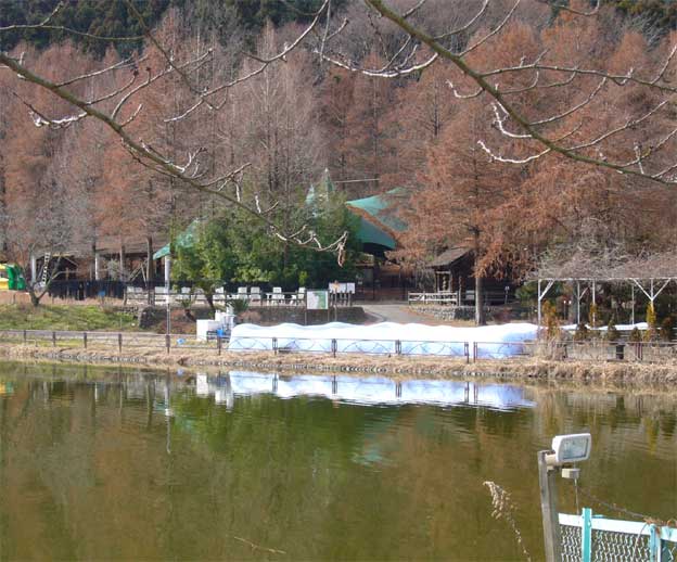 e0018604_18252957.jpg
