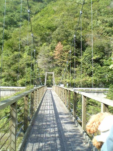 e0119017_0512680.jpg