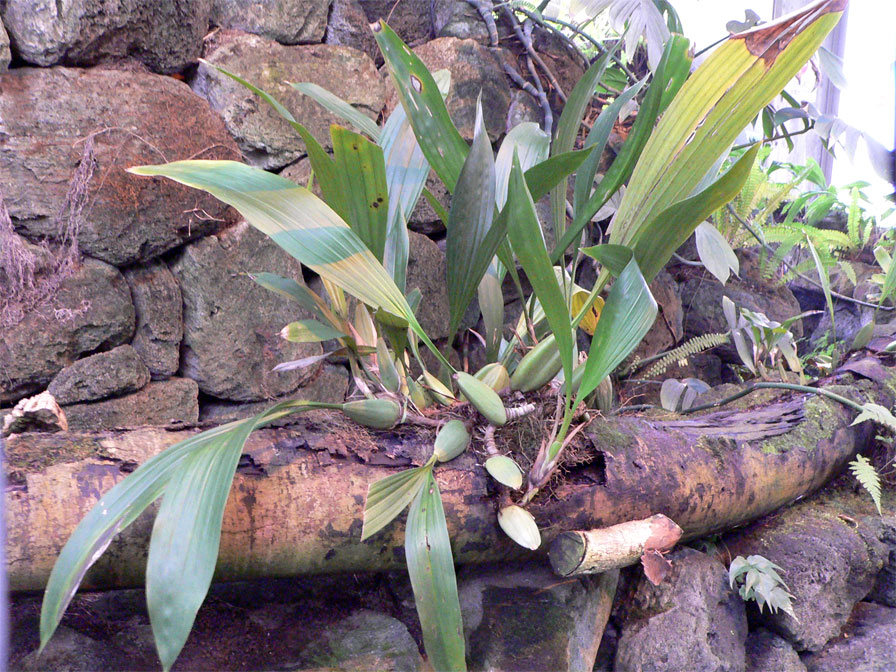 f0107517_23383828.jpg