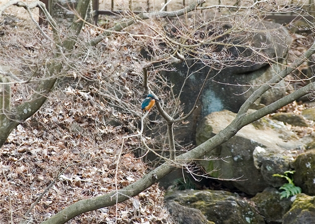 f0040525_1958723.jpg