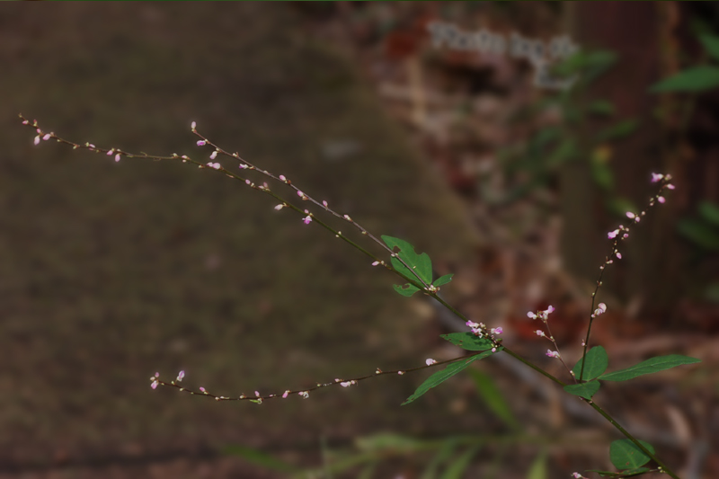 a0059328_23565083.jpg