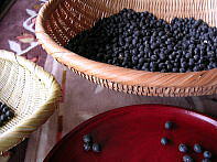 e0016836_1265765.jpg