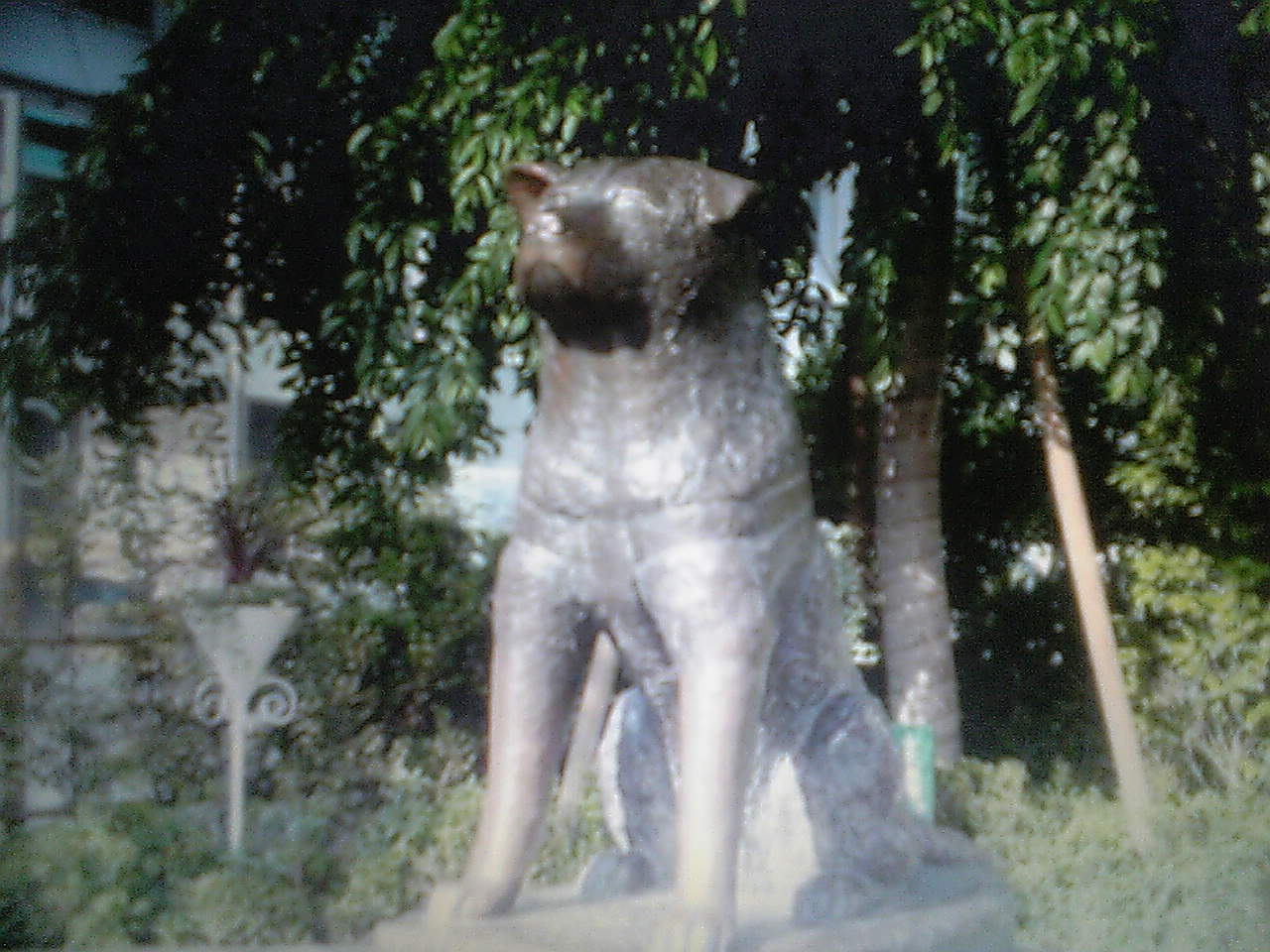 c0152037_7155558.jpg