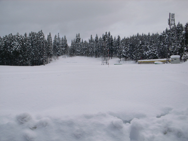 e0101537_17411044.jpg