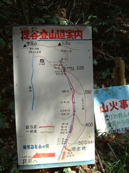 c0077338_1139494.jpg