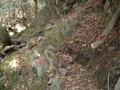 c0077338_11401578.jpg