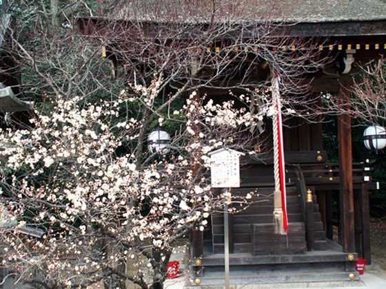 d0149238_22273463.jpg