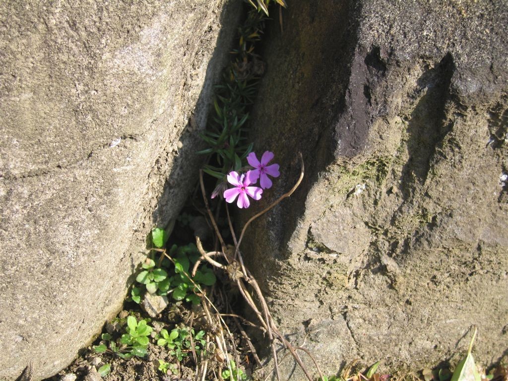 f0151044_7102971.jpg