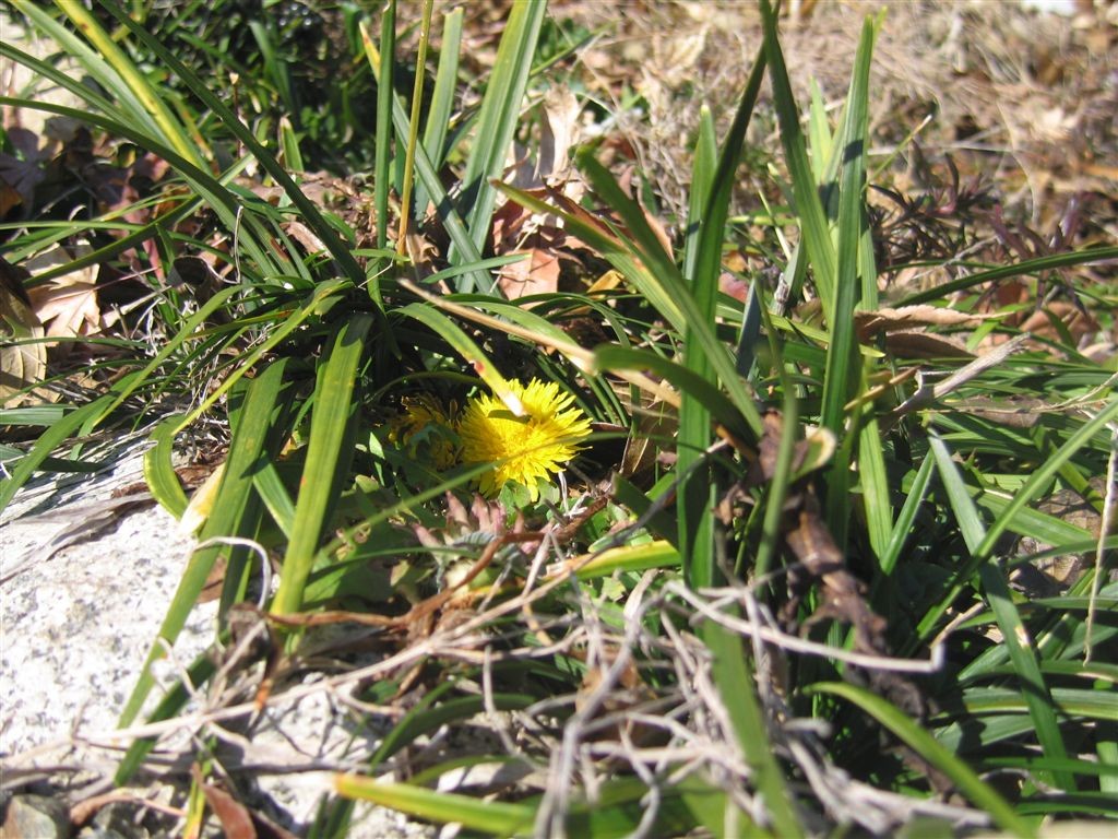 f0151044_7104559.jpg
