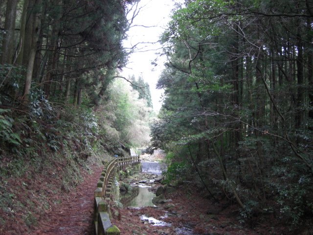 c0046846_0591124.jpg