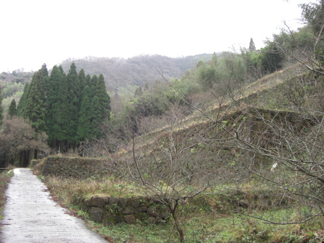 c0046846_0593112.jpg