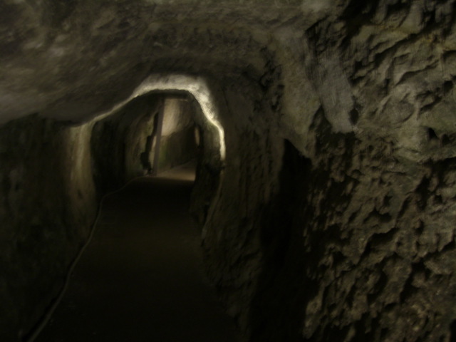 c0046846_162776.jpg