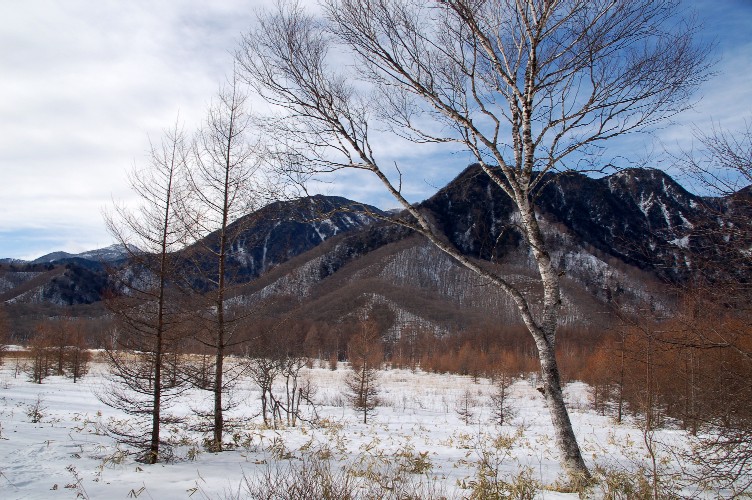 e0009147_1765914.jpg