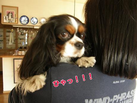 c0145250_1723914.jpg