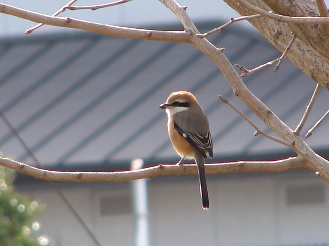 b0061261_2249557.jpg