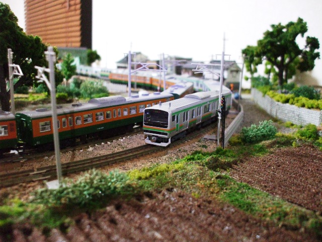 f0131165_155244.jpg