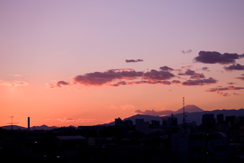 d0114066_3315444.jpg