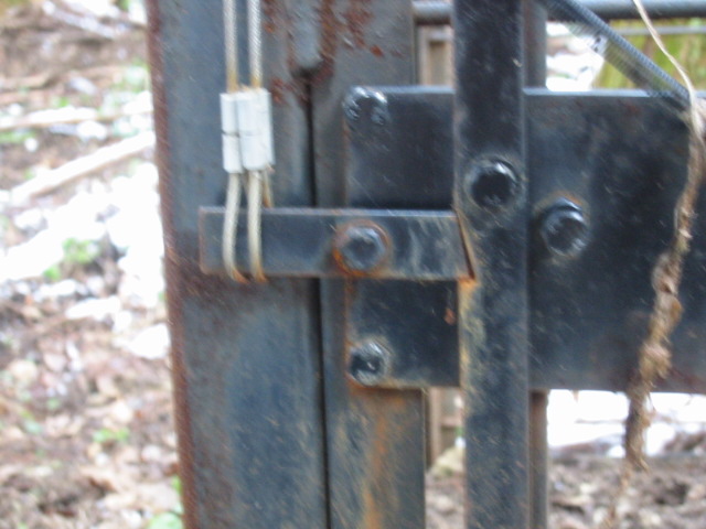 d0094868_1681193.jpg