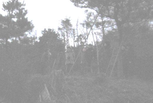 d0094868_18503526.jpg