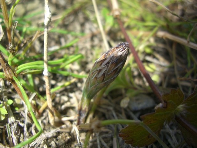 f0137275_656629.jpg