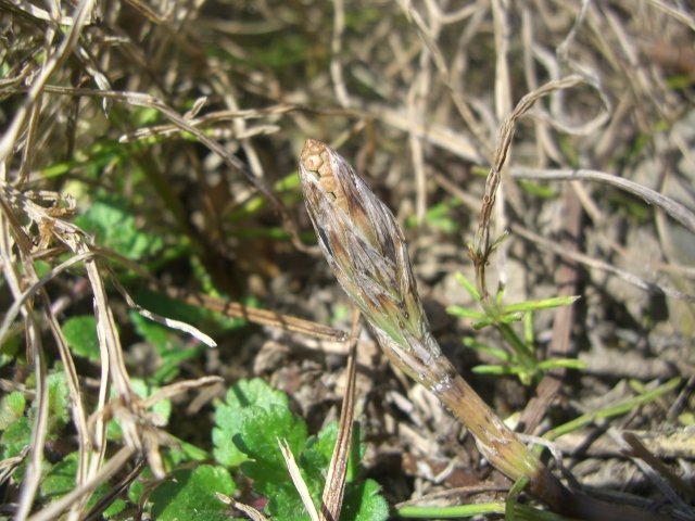 f0137275_71594.jpg