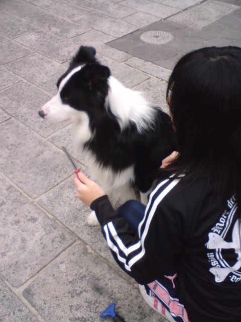 e0117976_11151246.jpg