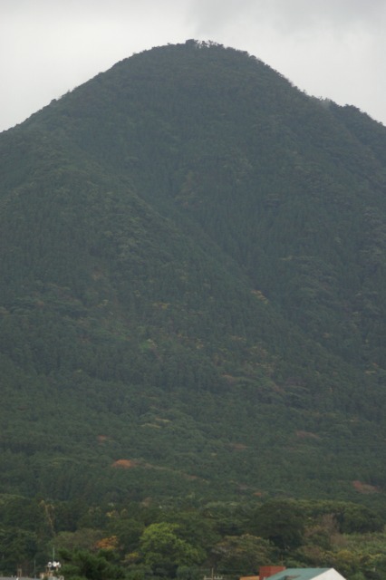d0079278_1545682.jpg