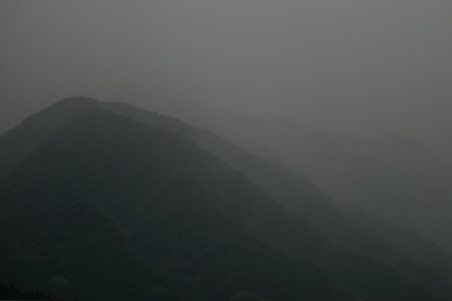 d0079278_1551814.jpg