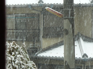 e0026586_1162831.jpg