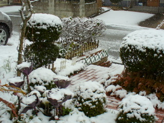 e0026586_1165493.jpg