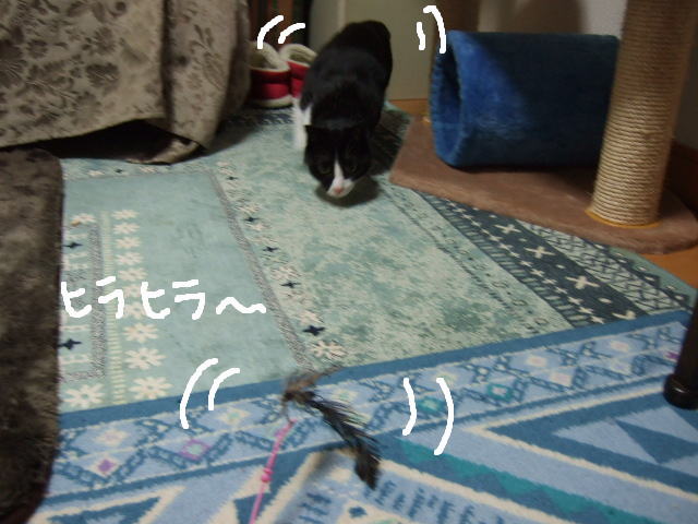 c0150193_1455056.jpg