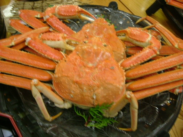 b0044296_21163167.jpg