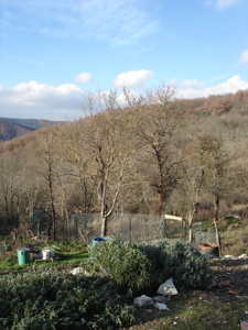 f0106597_2345638.jpg