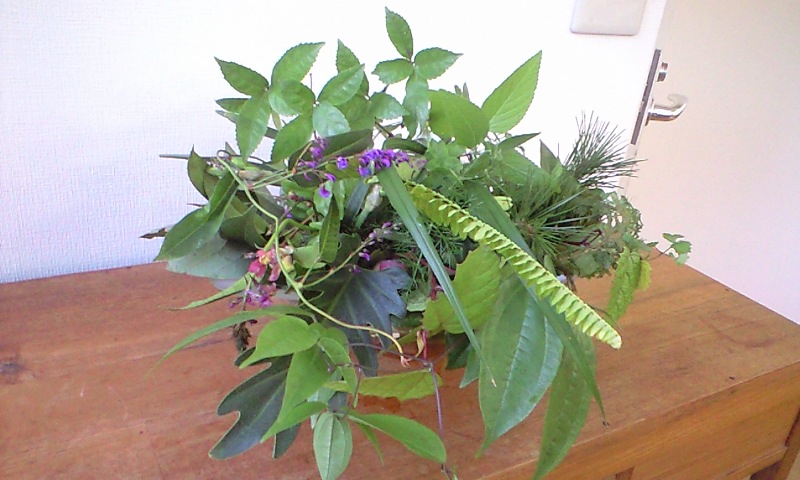 b0083902_0342288.jpg