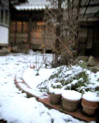 d0077603_10543512.jpg